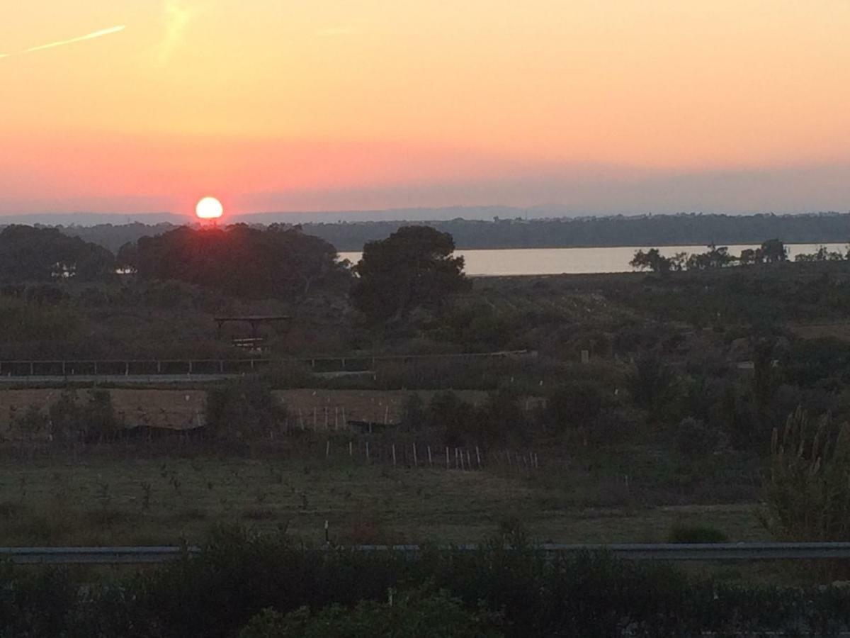 Appartamento Sunset La Mata La Mata  Esterno foto